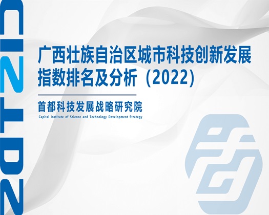 快操骚逼对白视频【成果发布】广西壮族自治区城市科技创新发展指数排名及分析（2022）